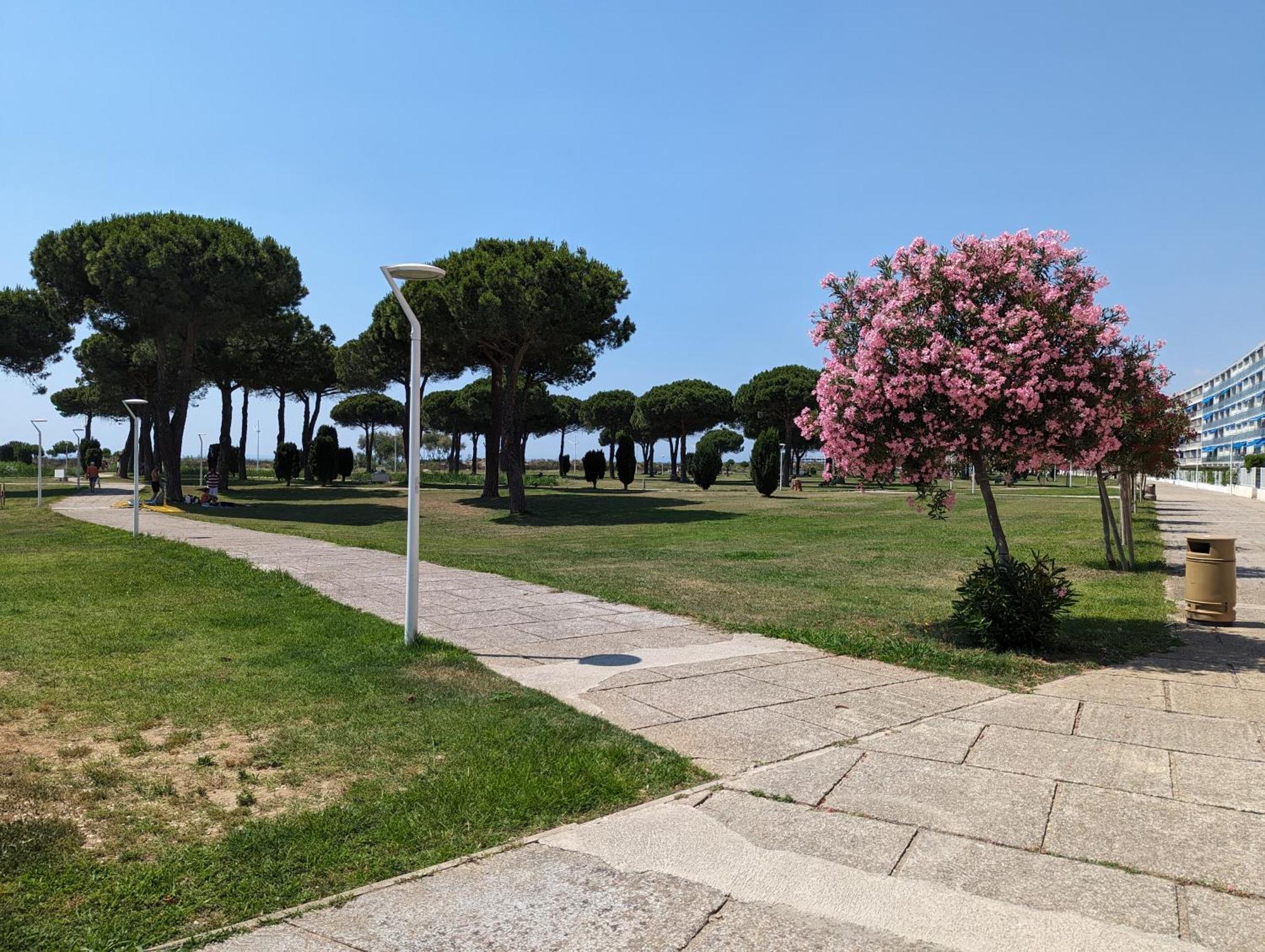 Agréable appartement en rez-de-jardin à deux pas des plages Le Grau-du-Roi Exterior foto